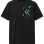 Kontrollü Kaos Geçişi